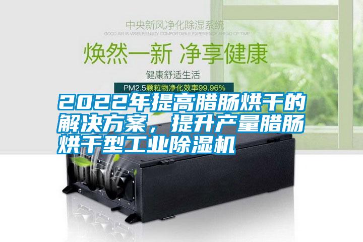 2022年提高腊肠烘干的解决方案，提升产量腊肠烘干型工业除湿机