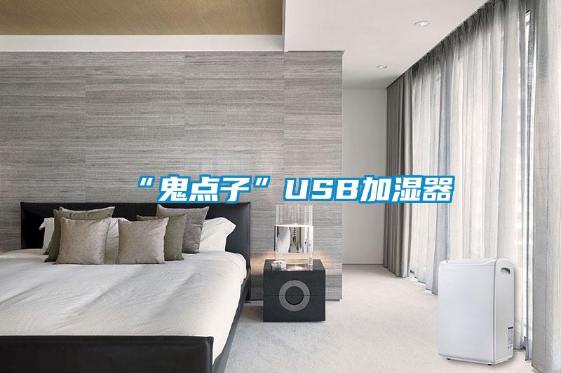 “鬼点子”USB加湿器