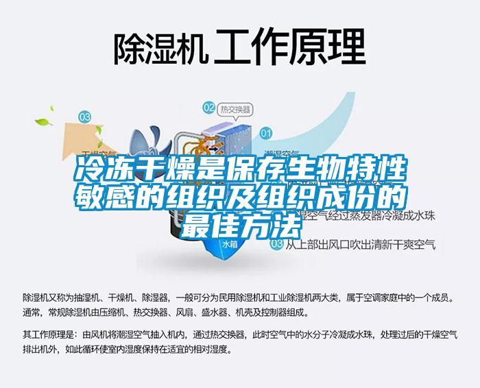 冷冻干燥是保存生物特性敏感的组织及组织成份的最佳方法