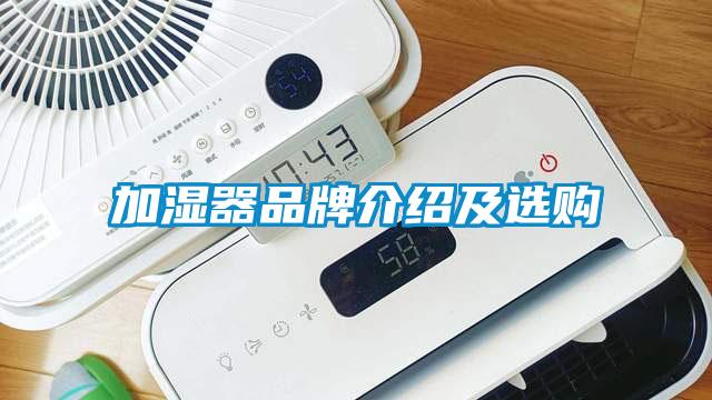 加湿器品牌介绍及选购