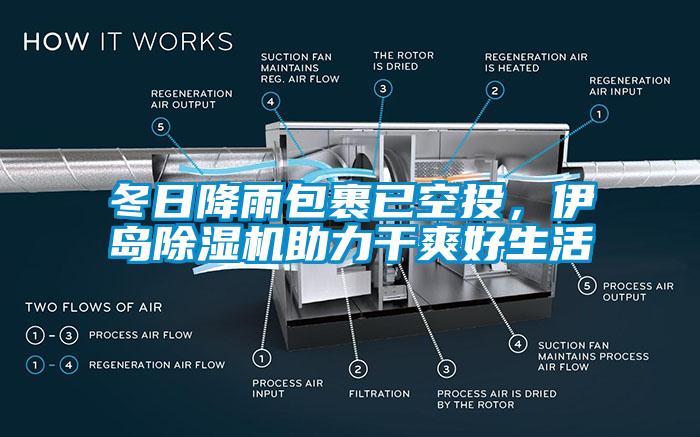 冬日降雨包裹已空投，伊岛除湿机助力干爽好生活