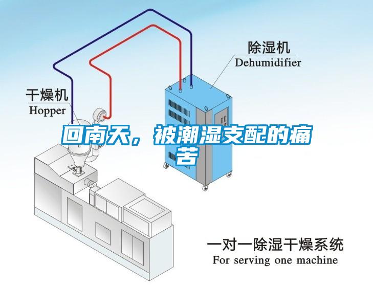 回南天，被潮湿支配的痛苦