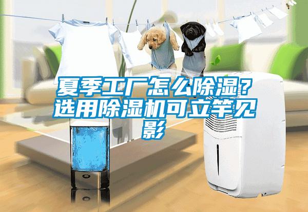 夏季工厂怎么除湿？选用除湿机可立竿见影