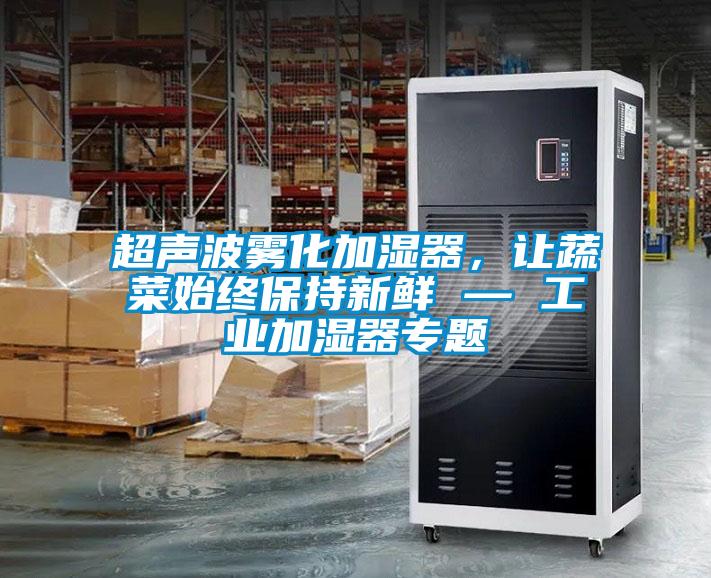 超声波雾化加湿器，让蔬菜始终保持新鲜 — 工业加湿器专题