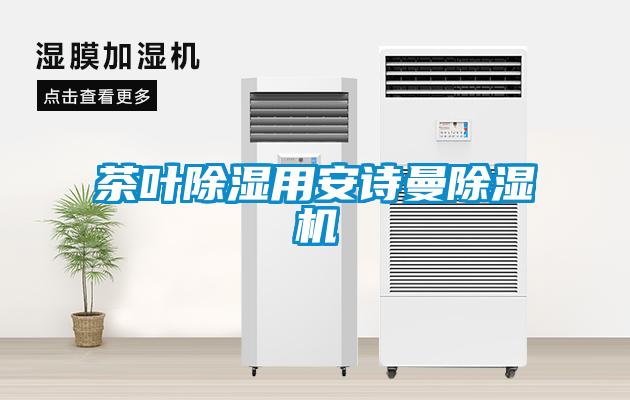 茶叶除湿用ylzzcom永利总站除湿机