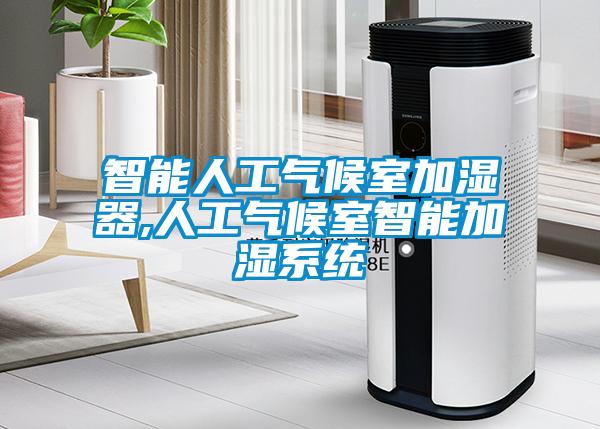 智能人工气候室加湿器,人工气候室智能加湿系统