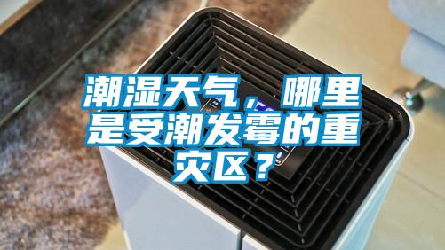 潮湿天气，哪里是受潮发霉的重灾区？