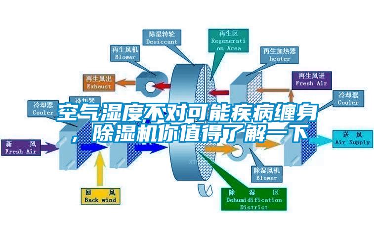 空气湿度不对可能疾病缠身，除湿机你值得了解一下