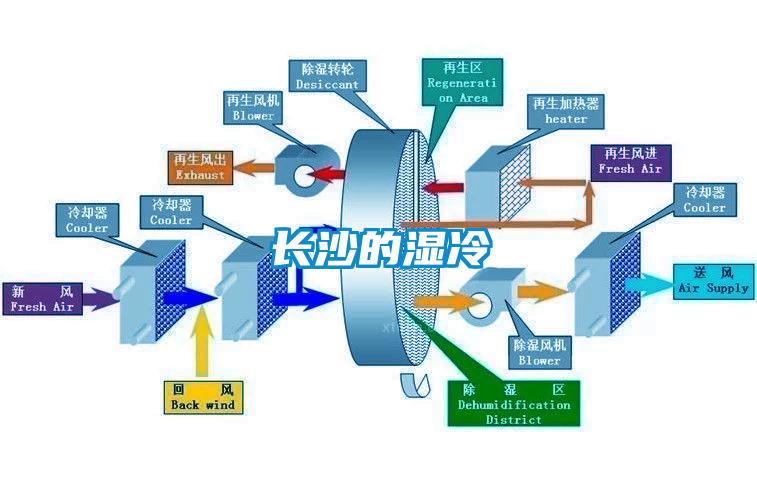 长沙的湿冷