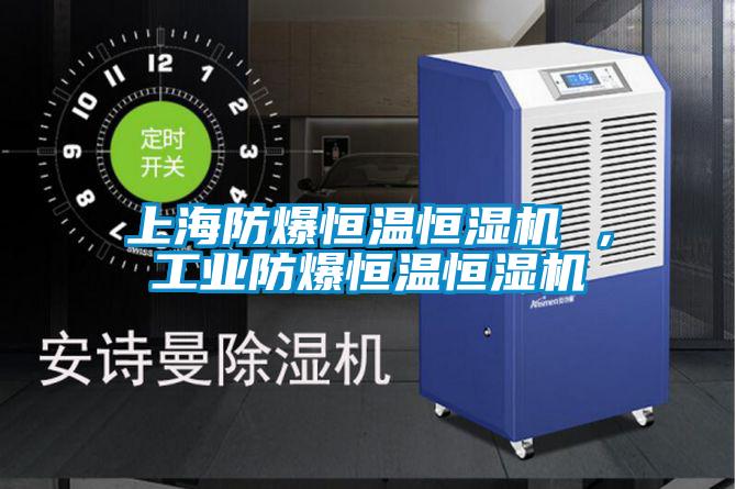 上海防爆恒温恒湿机 ，工业防爆恒温恒湿机