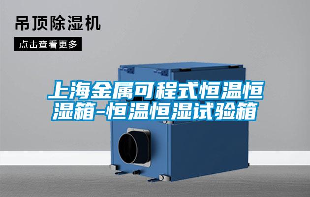 上海金属可程式恒温恒湿箱-恒温恒湿试验箱