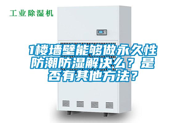 1楼墙壁能够做永久性防潮防湿解决么？是否有其他方法？