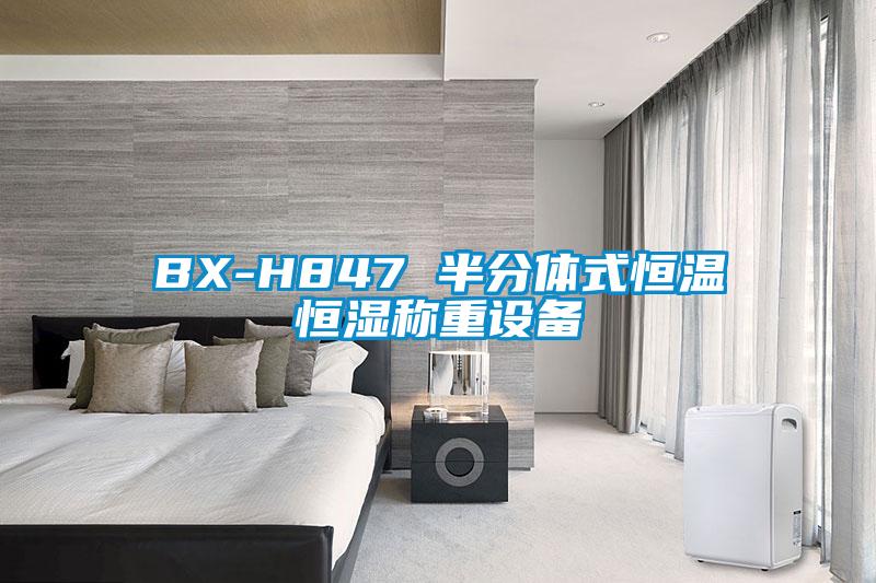 BX-H847 半分体式恒温恒湿称重设备