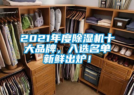 2021年度除湿机十大品牌，入选名单新鲜出炉！