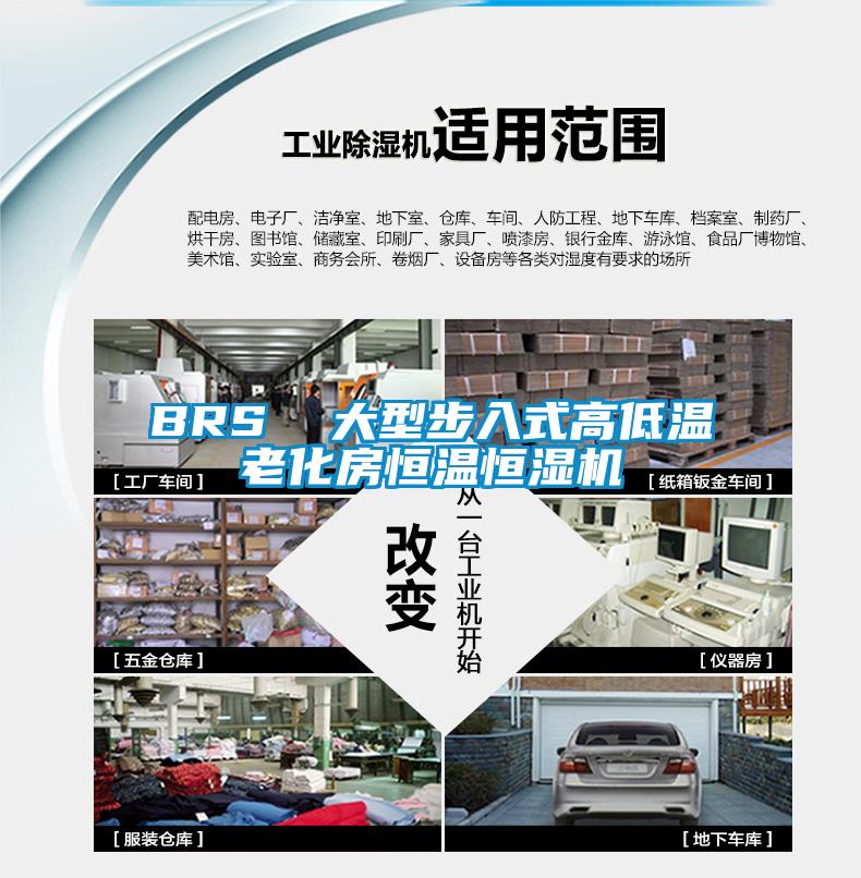 BRS  大型步入式高低温老化房恒温恒湿机