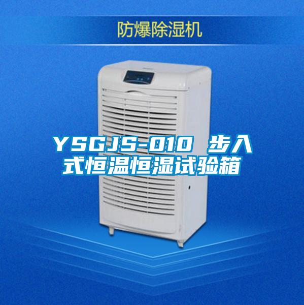 YSGJS-010 步入式恒温恒湿试验箱