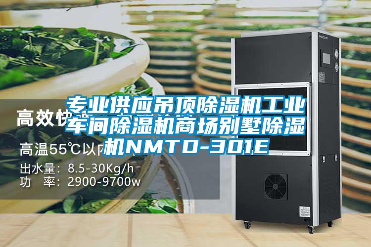 专业供应吊顶除湿机工业车间除湿机商场别墅除湿机NMTD-301E