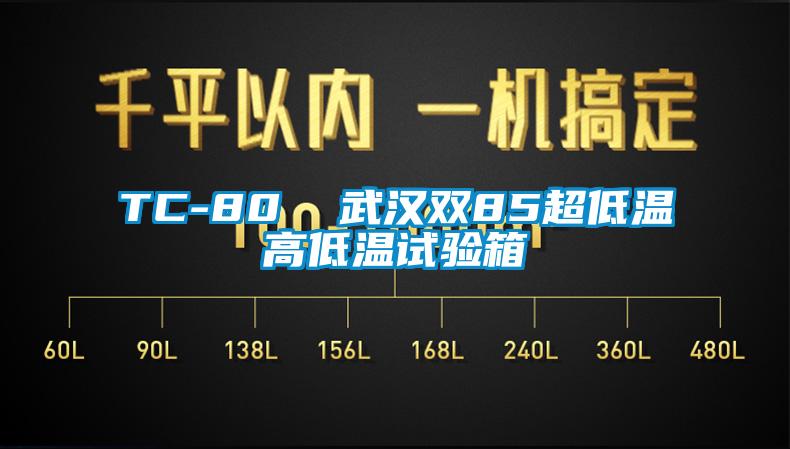 TC-80  武汉双85超低温高低温试验箱