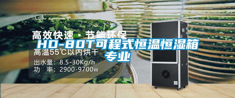HD-80T可程式恒温恒湿箱专业