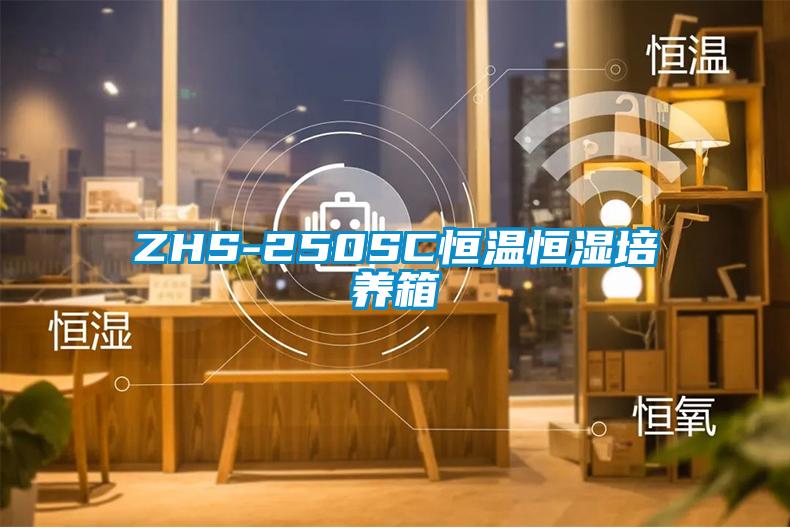 ZHS-250SC恒温恒湿培养箱