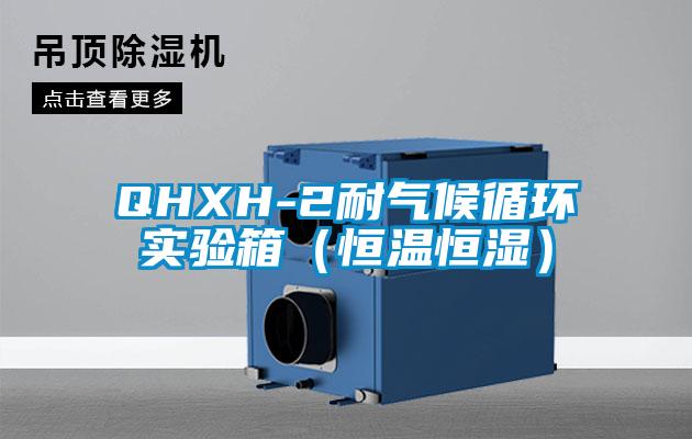 QHXH-2耐气候循环实验箱（恒温恒湿）