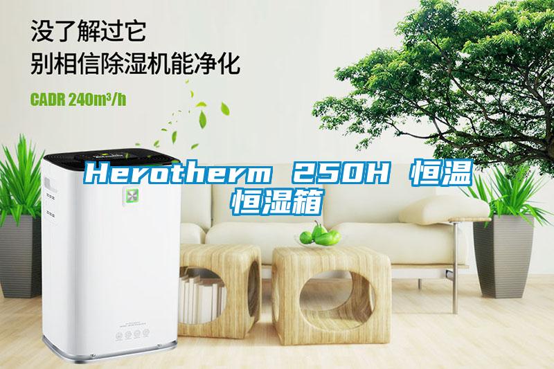Herotherm 250H 恒温恒湿箱