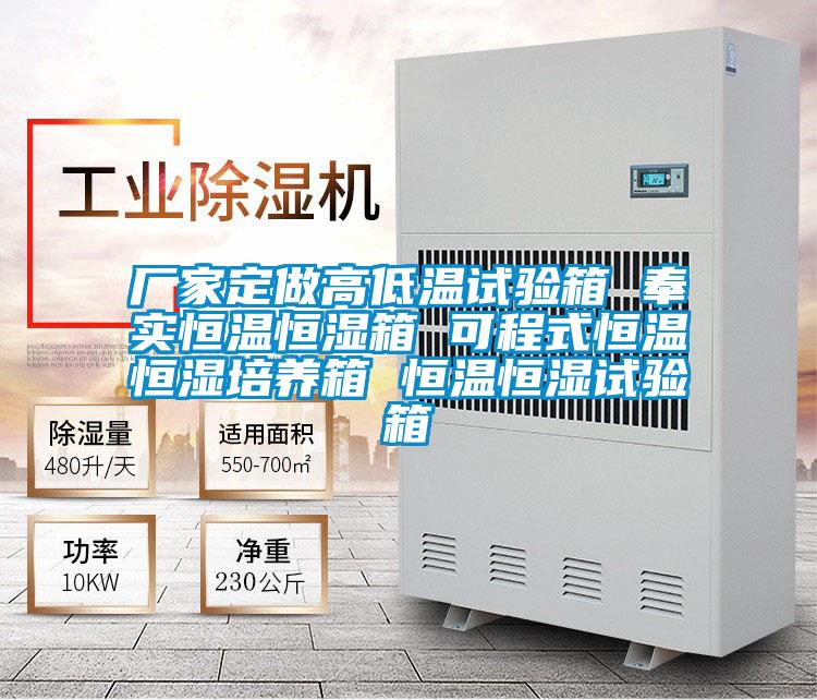 厂家定做高低温试验箱 奉实恒温恒湿箱 可程式恒温恒湿培养箱 恒温恒湿试验箱