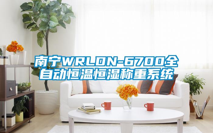 南宁WRLDN-6700全自动恒温恒湿称重系统