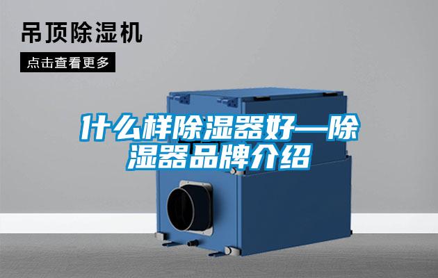 什么样除湿器好—除湿器品牌介绍