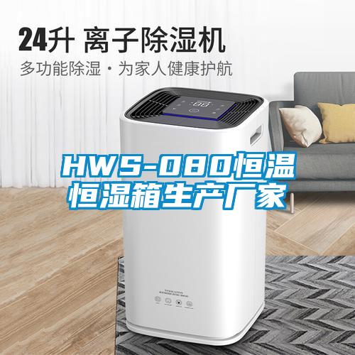 HWS-080恒温恒湿箱生产厂家