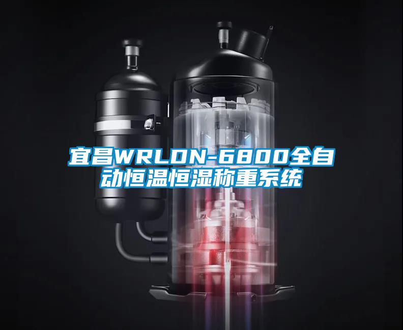宜昌WRLDN-6800全自动恒温恒湿称重系统