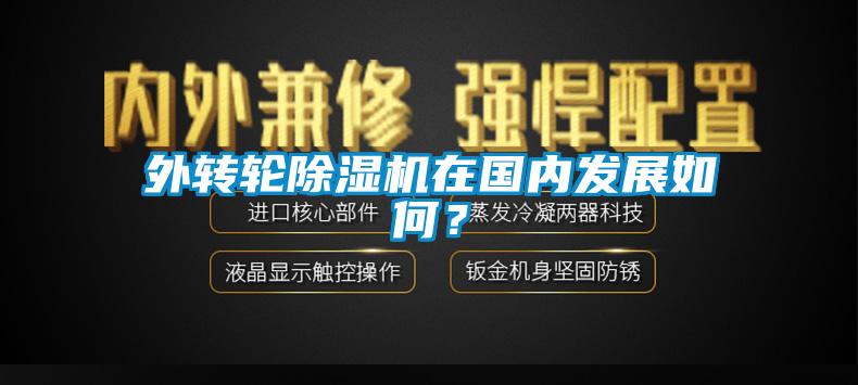 外转轮除湿机在国内发展如何？