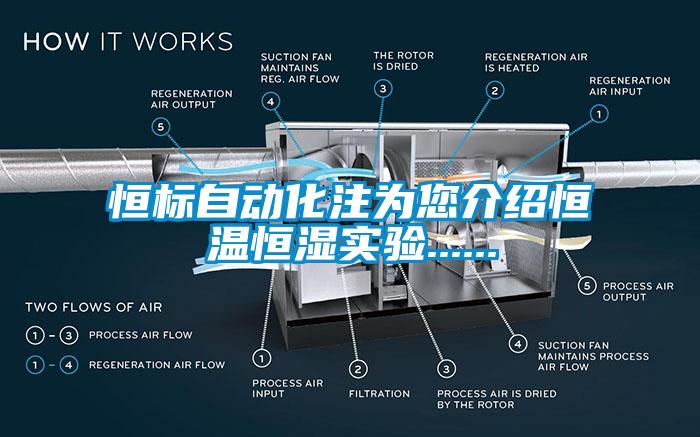 恒标自动化注为您介绍恒温恒湿实验......