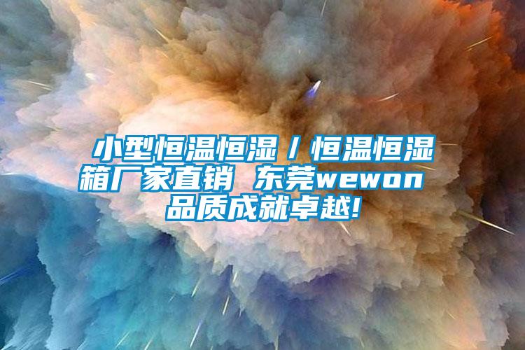 小型恒温恒湿／恒温恒湿箱厂家直销 东莞wewon 品质成就卓越!