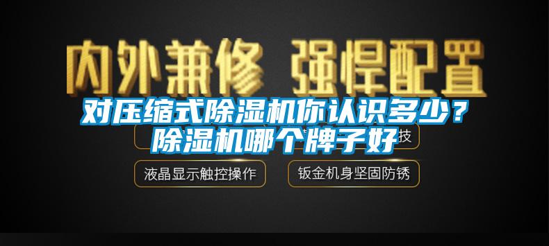 对压缩式除湿机你认识多少？除湿机哪个牌子好