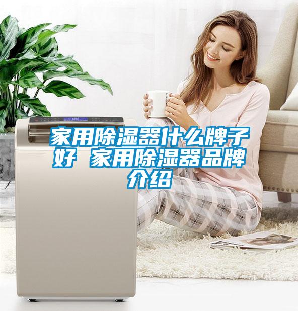 家用除湿器什么牌子好 家用除湿器品牌介绍