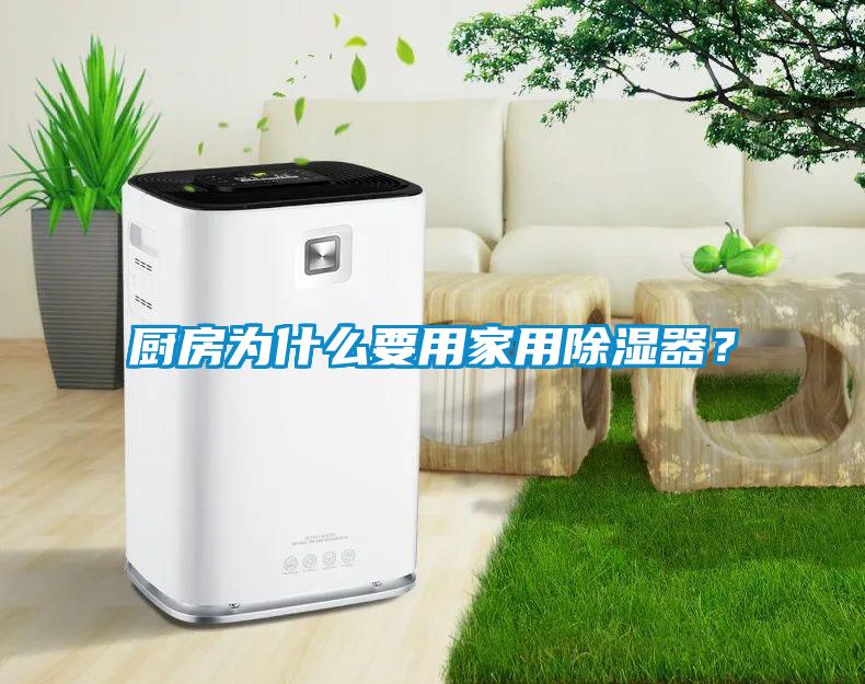 厨房为什么要用家用除湿器？