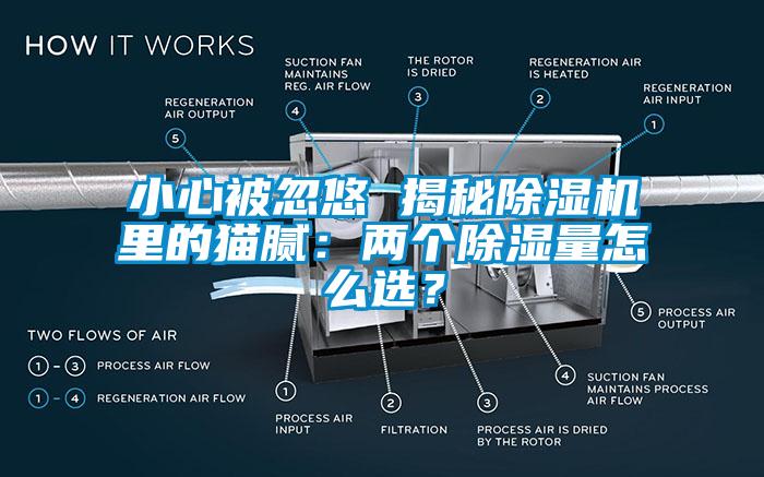 小心被忽悠 揭秘除湿机里的猫腻：两个除湿量怎么选？