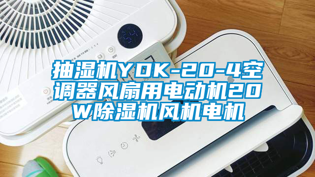 抽湿机YDK-20-4空调器风扇用电动机20W除湿机风机电机