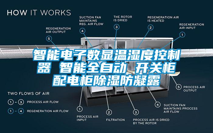 智能电子数显温湿度控制器 智能全自动 开关柜配电柜除湿防凝露