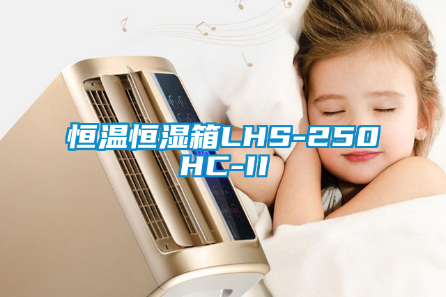 恒温恒湿箱LHS-250HC-II