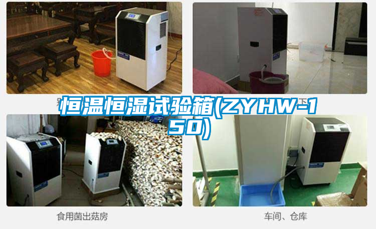 恒温恒湿试验箱(ZYHW-150)