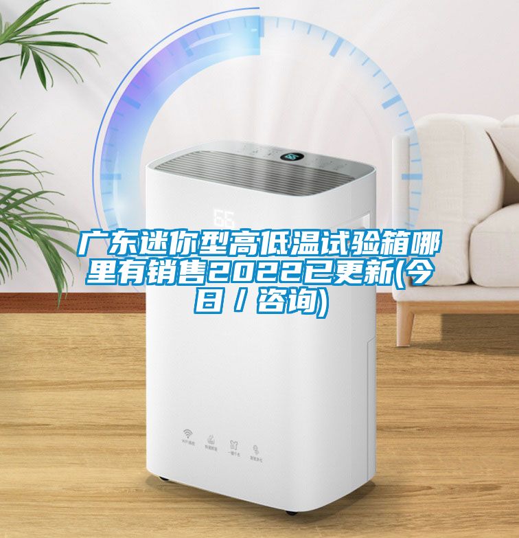 广东迷你型高低温试验箱哪里有销售2022已更新(今日／咨询)