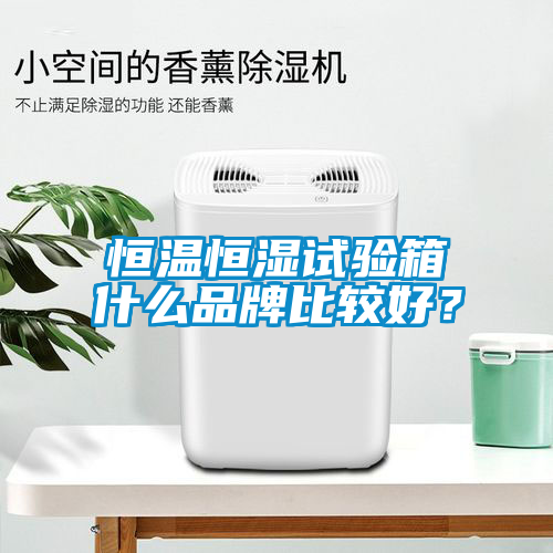 恒温恒湿试验箱什么品牌比较好？