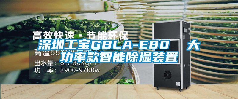 深圳工宝GBLA-E80  大功率款智能除湿装置