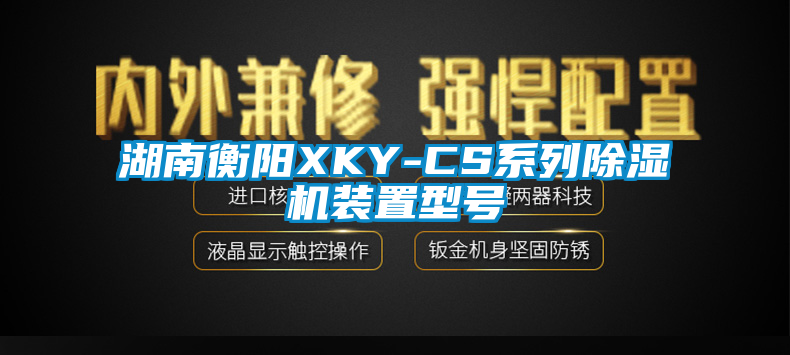 湖南衡阳XKY-CS系列除湿机装置型号