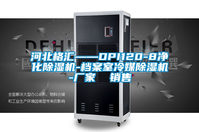 河北格汇——DPI120-8净化除湿机-档案室冷媒除湿机-厂家  销售