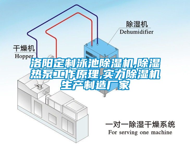 洛阳定制泳池除湿机,除湿热泵工作原理,实力除湿机生产制造厂家