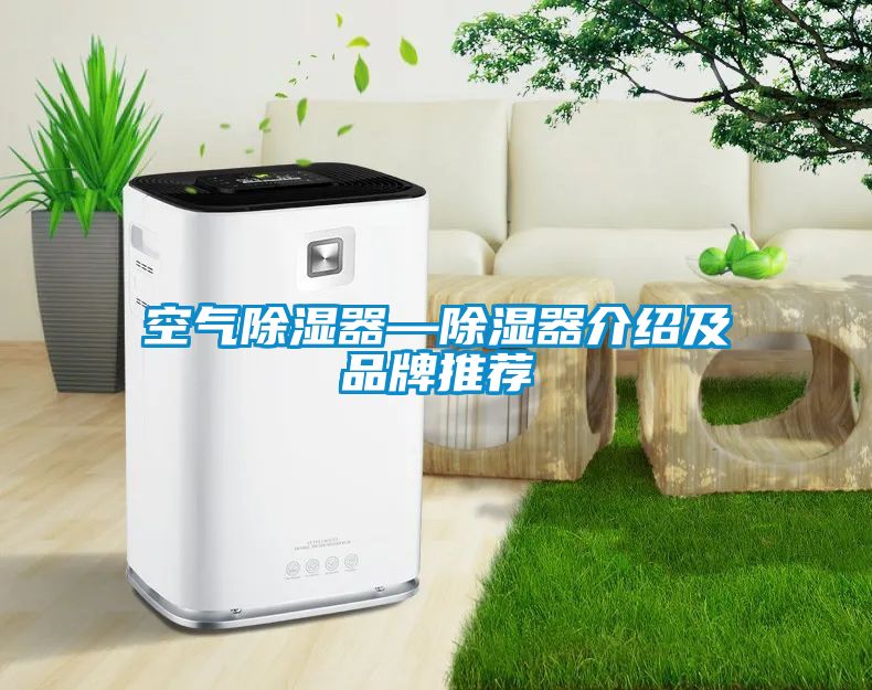 空气除湿器—除湿器介绍及品牌推荐