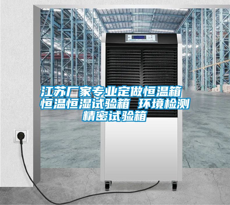 江苏厂家专业定做恒温箱 恒温恒湿试验箱 环境检测精密试验箱